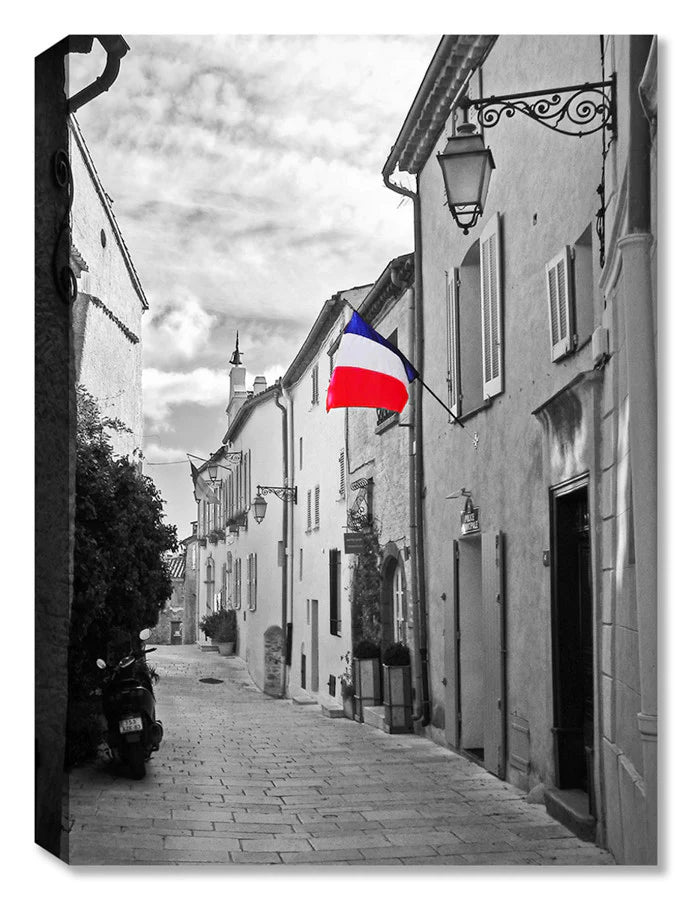 French Flag -  Indoor Outdoor Art