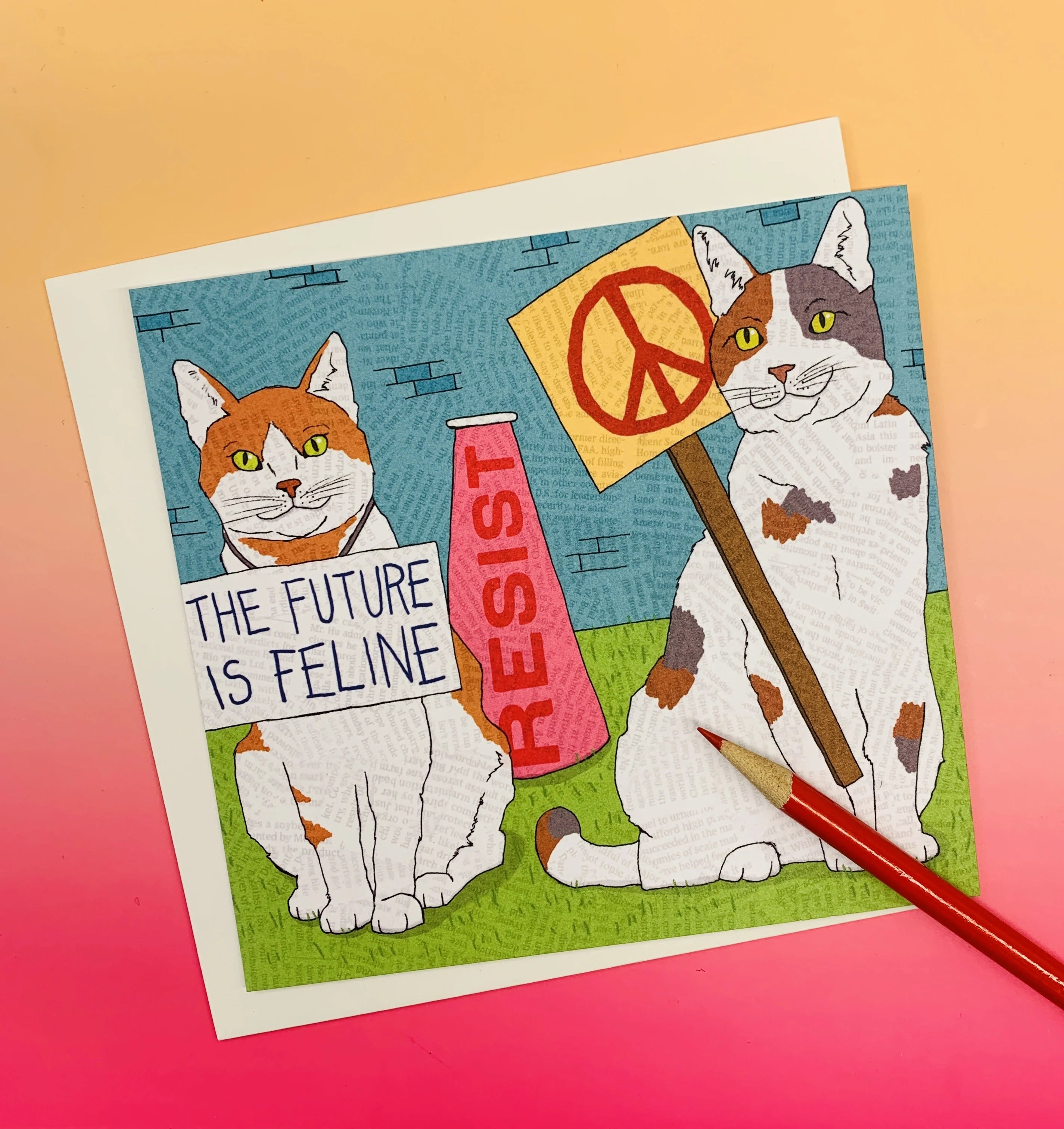 Cats To Love Square Set (8/box)