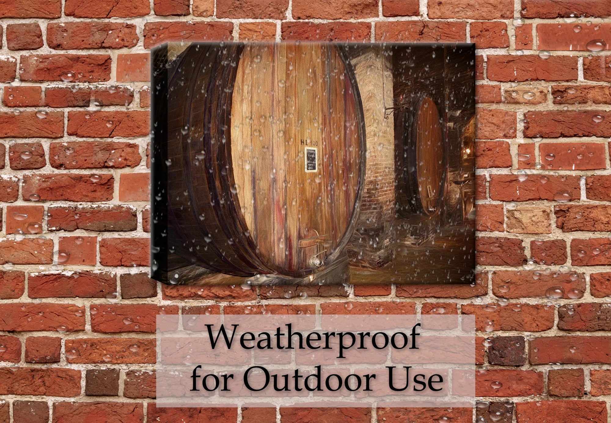 Aging Gracefully - Indoor or Patio Art