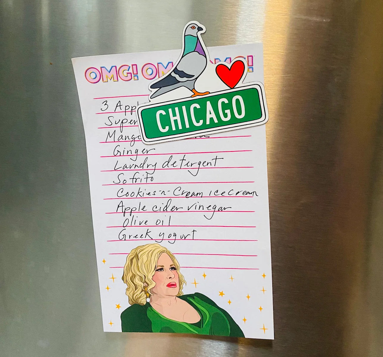 Die Cut Magnet - Chicago Pigeon