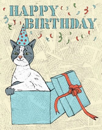 Kitten in Box Birthday