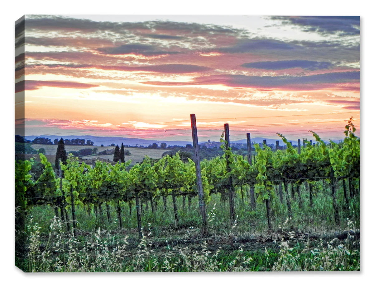 Tuscany Sunset-  Fine Art Photography