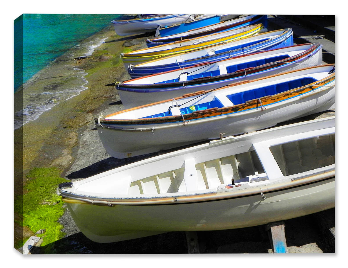 Capri Boats - Indoor/Outdoor Art