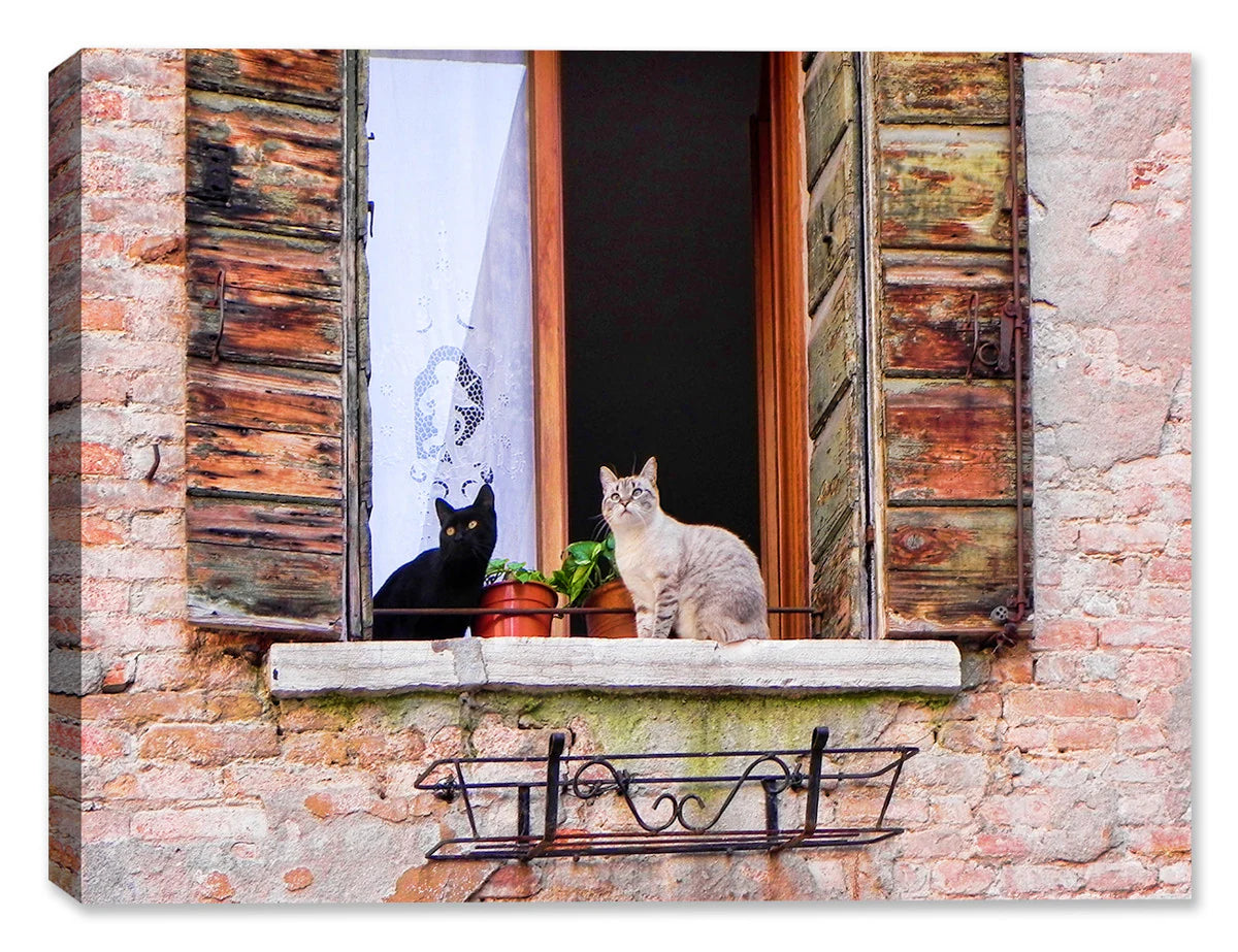 Florence Felines -  Indoor/Outdoor Art