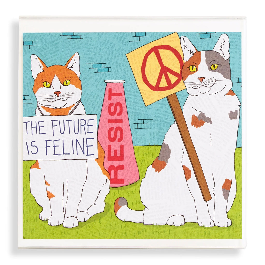 Cats To Love Square Set (8/box)